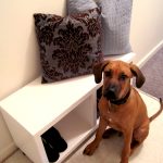 How to build a rolling shoe caddy