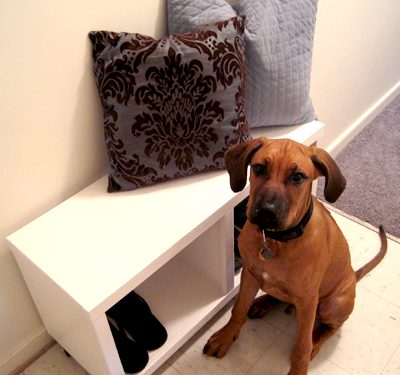 How to build a rolling shoe caddy