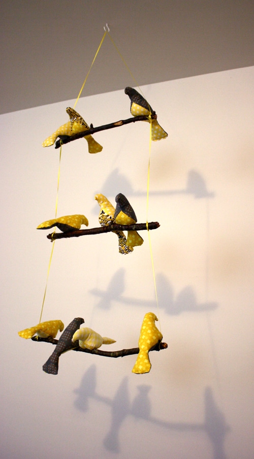 bird4
