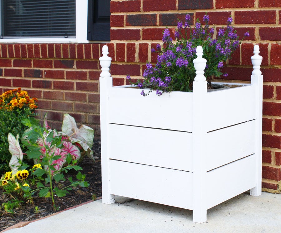 planter_closeup