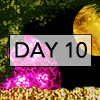 day10