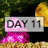 day11