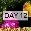 day12