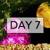 day7
