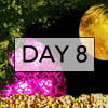 day8