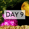day9