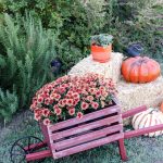 Perfect for Fall outdoor decor! How to build a rustic wheelbarrow.