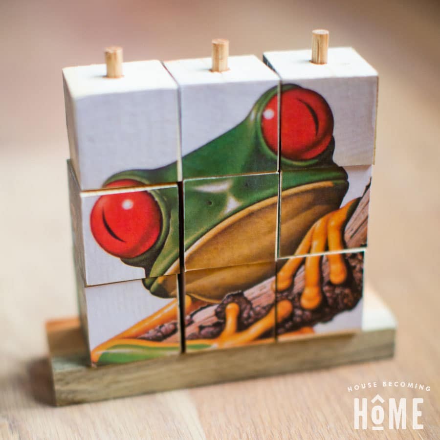 finished staking puzzle with frog 