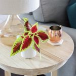 How to add a few simple touches to decorate for Fall