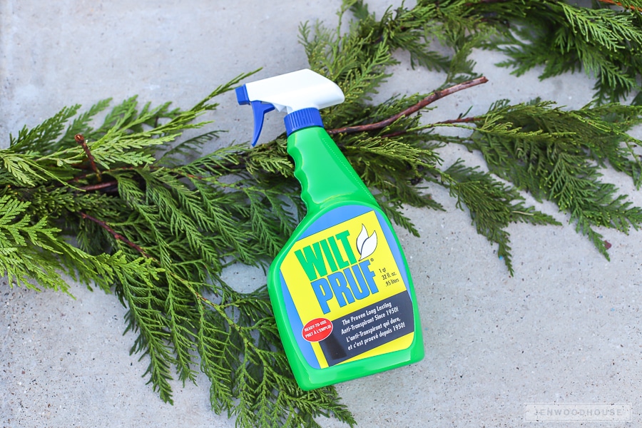 How to keep holiday greenery fresh longer