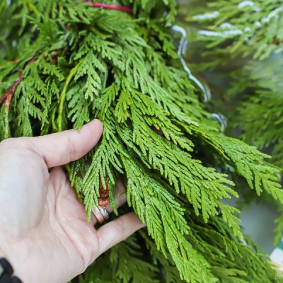 How To Keep Holiday Greenery Fresh