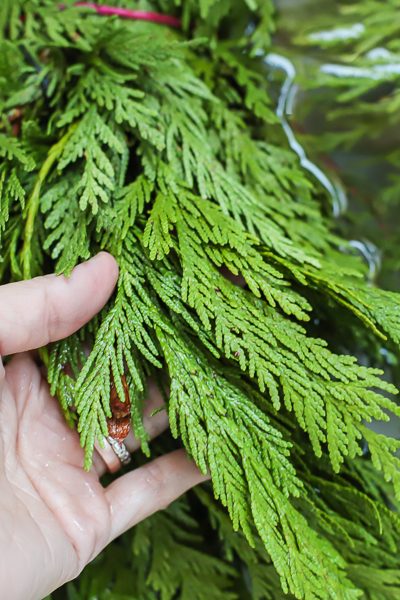 How To Keep Holiday Greenery Fresh