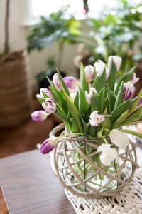 beautiful spring tulips styled on coffee table