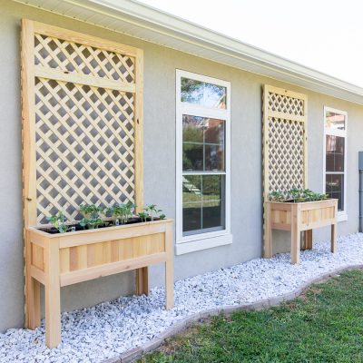 Raised Planter Box with Trellis