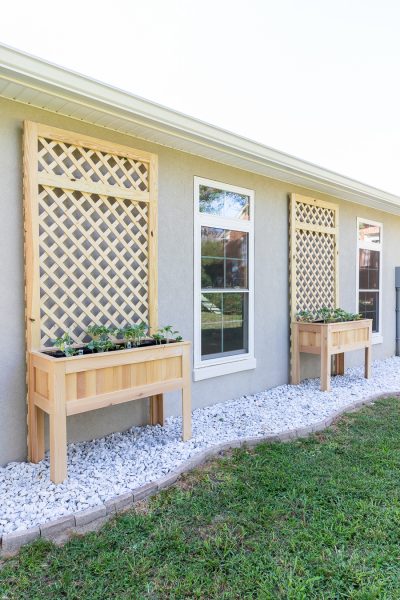 How to build a DIY raised planter box with trellis for about $30!