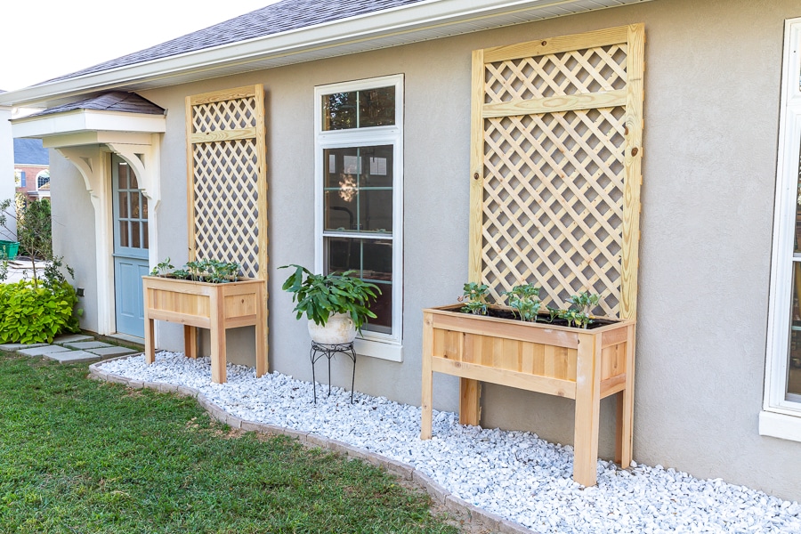 How to build a DIY raised planter with trellis