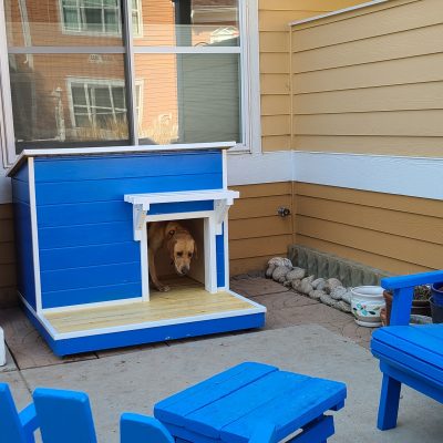 Dog house with deck