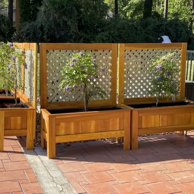pool planters with trellis