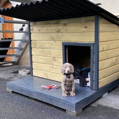 Doghouse with deck (without deck !)