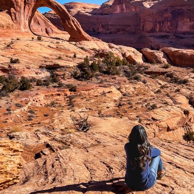 Stewardship and Creativity