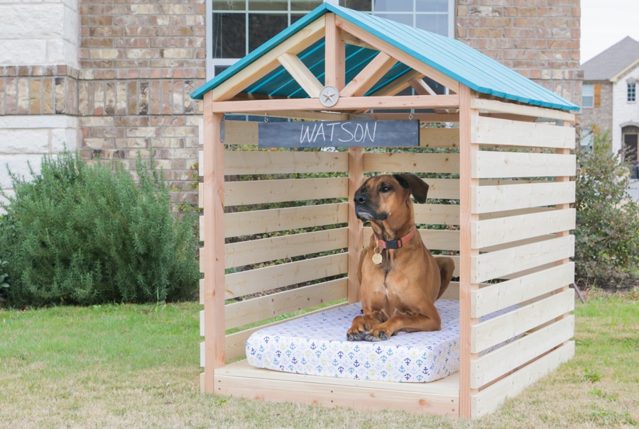 How to build a DIY doghouse gazebo