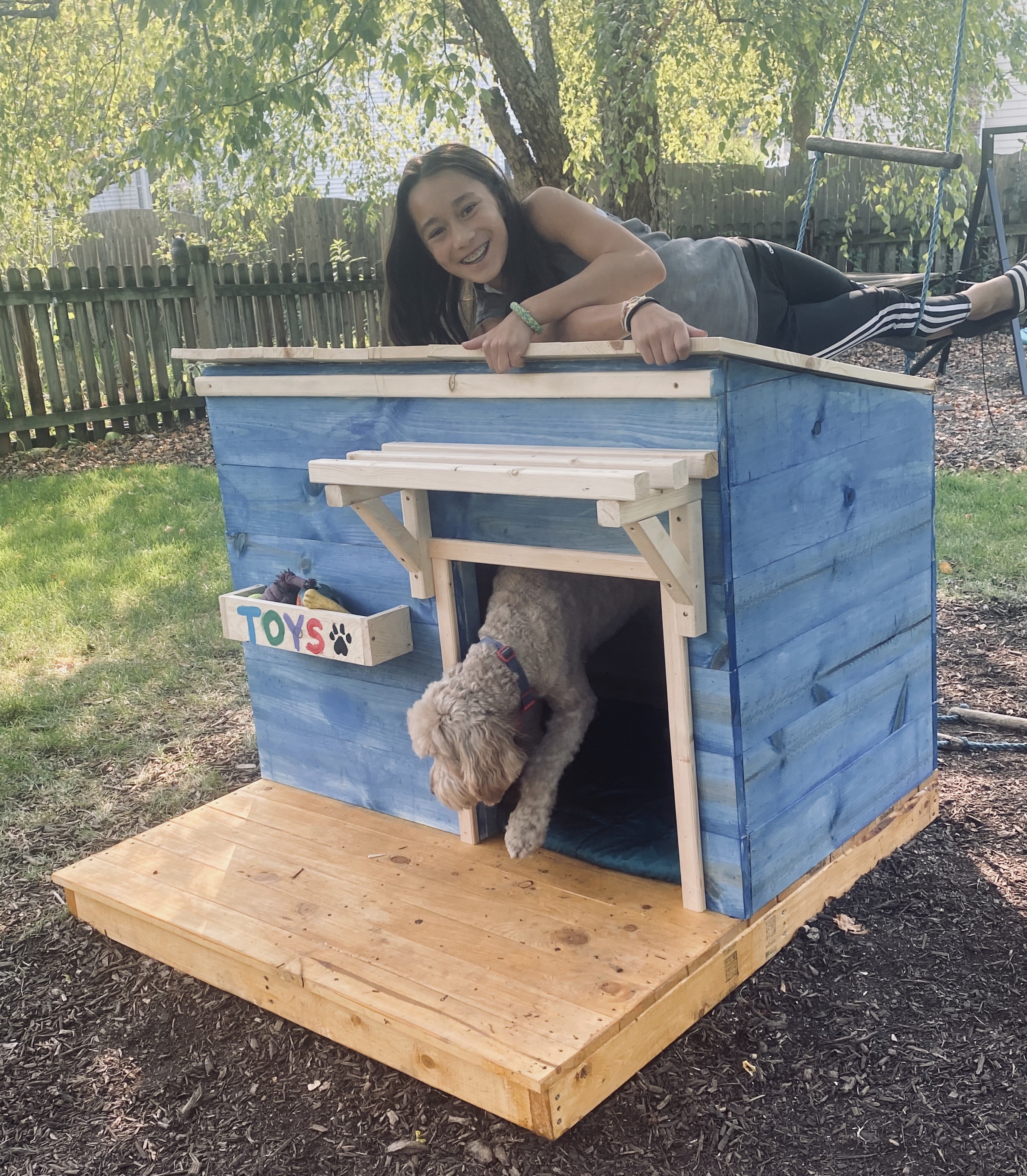 Doghouse!