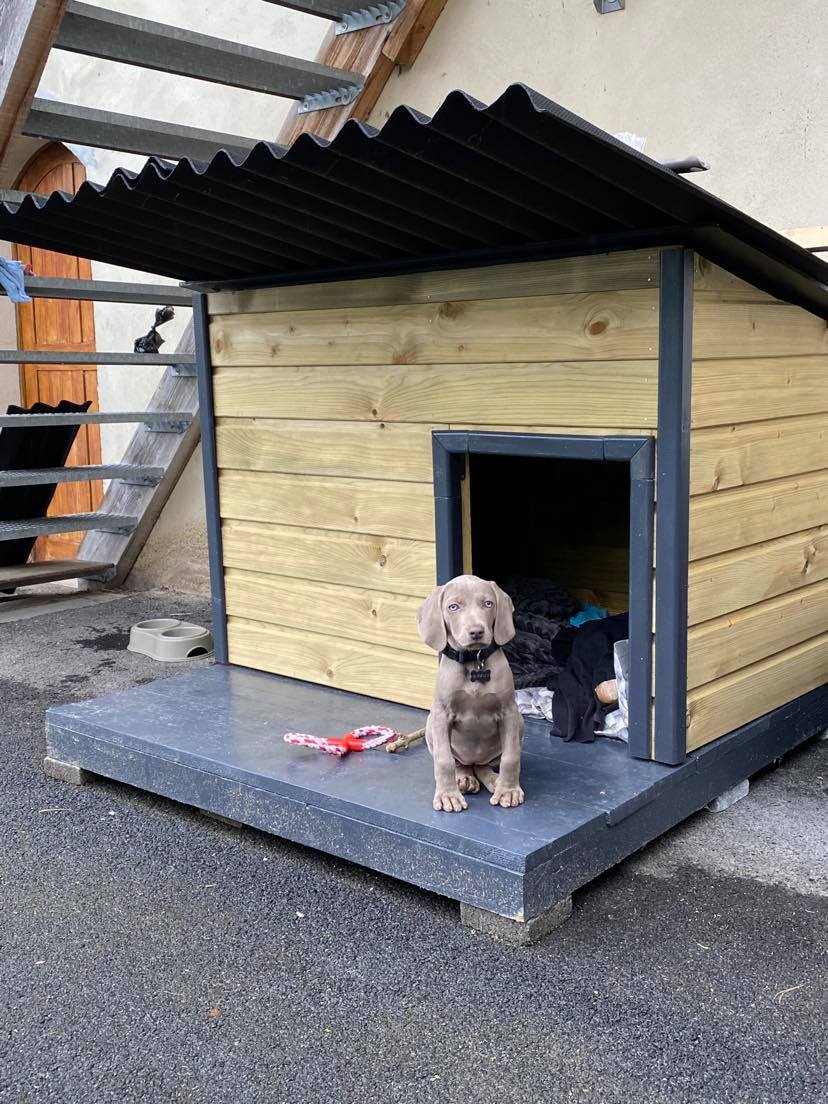 Doghouse with deck (without deck !)