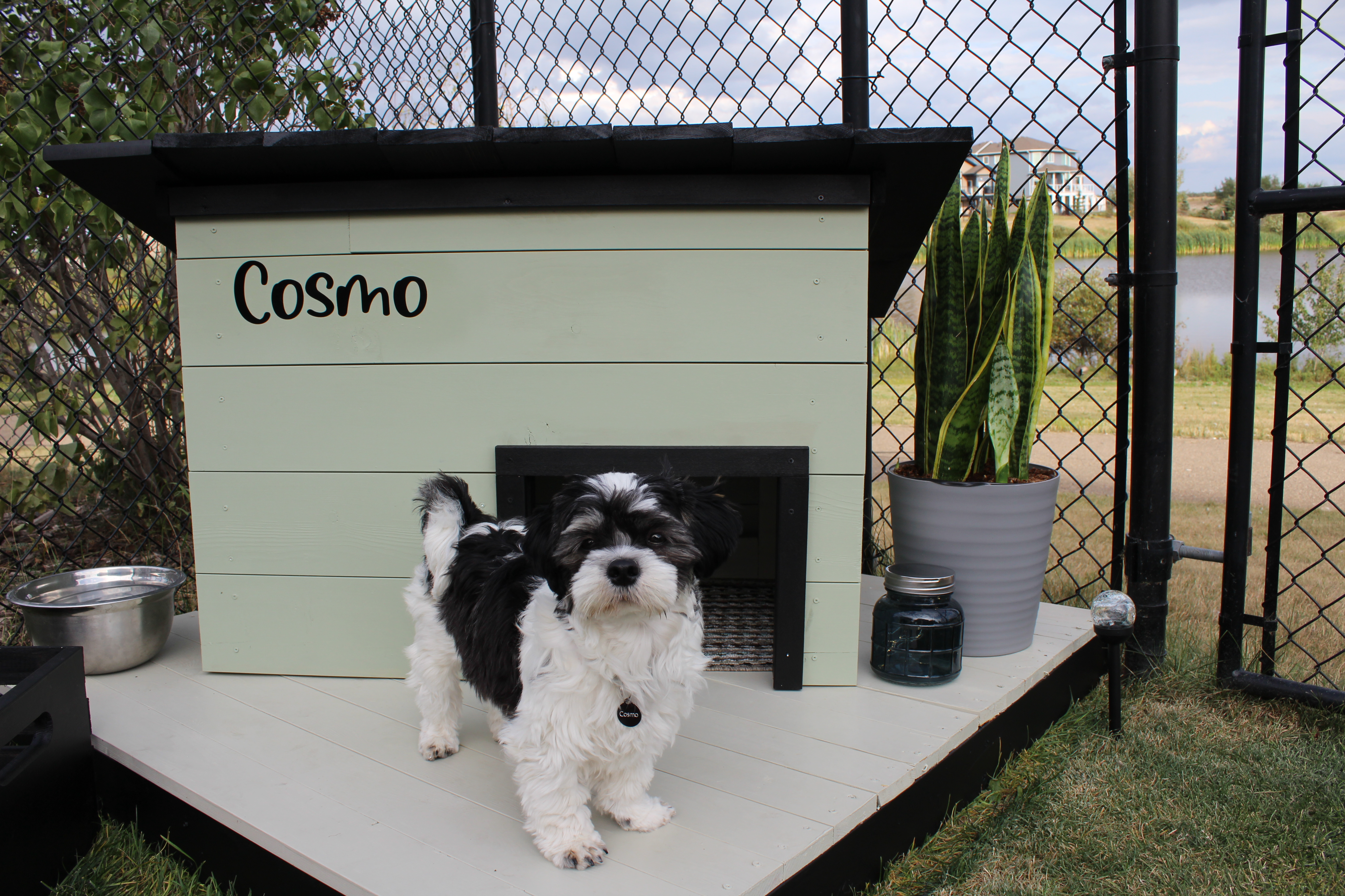 Dog house