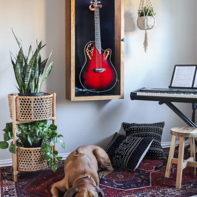 Guitar Display Case